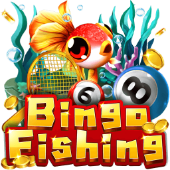 Câu Cá Bingo oklive